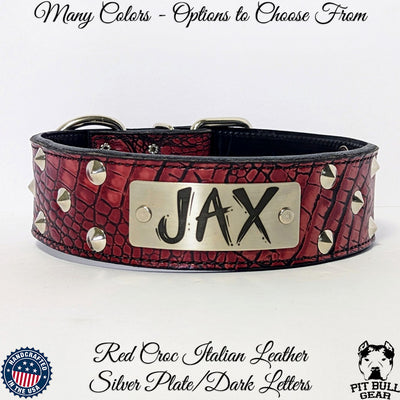 Leather Dog Collar Personalized Name Plate Cone Studded Collar 2" - WN1