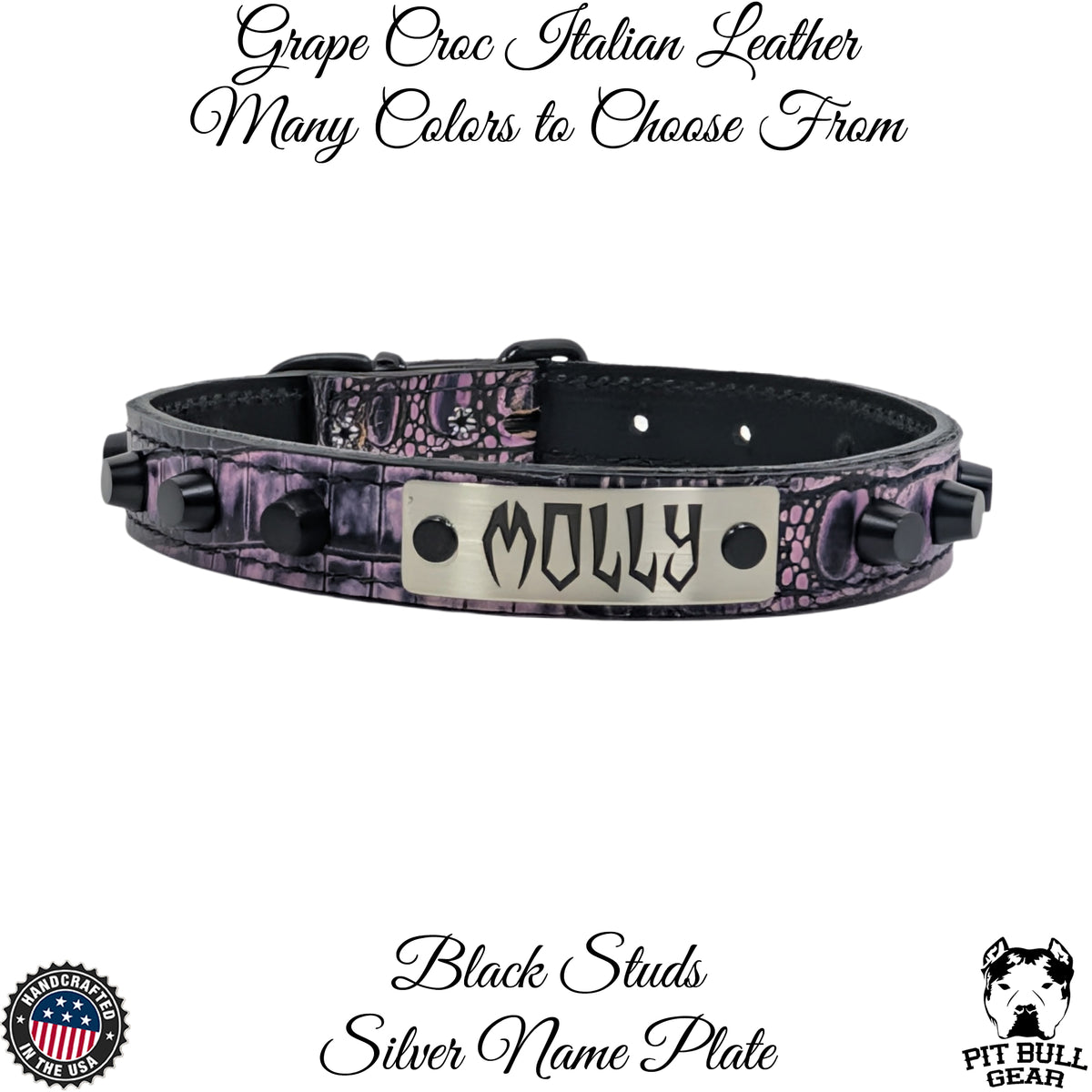 U1 - 1" Wide Leather Dog Collar with Studs and Name Plate