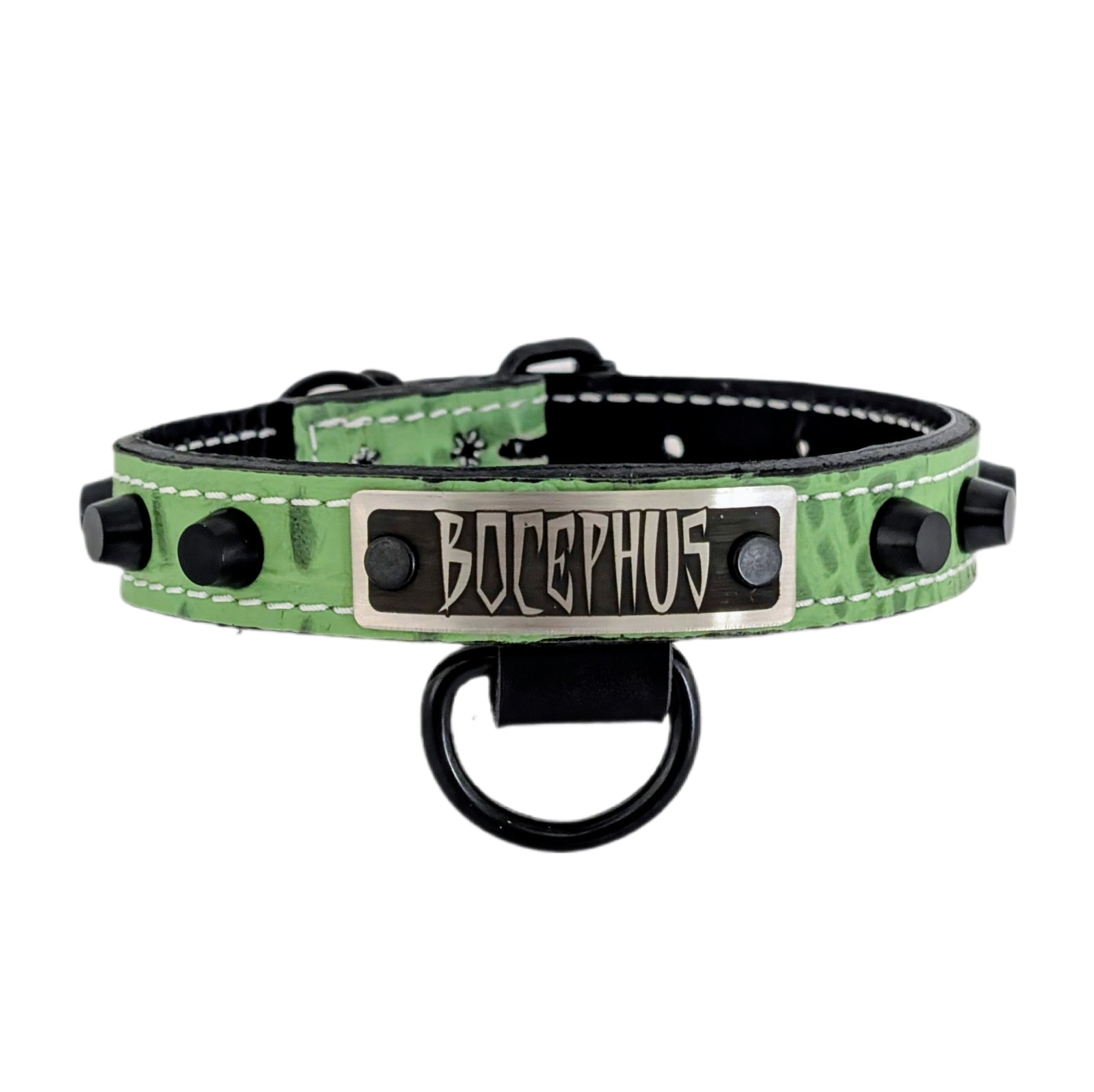 U1 - 1" Wide Leather Dog Collar with Studs and Name Plate