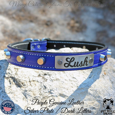 Leather Dog Collar, Name Plate Dog Collar, Studded Collar 1" Wide - U1