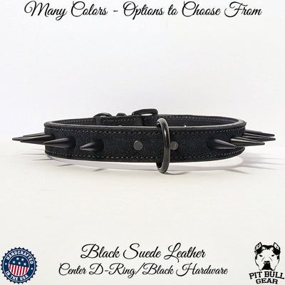 U4 - Spiked Leather Dog Collar