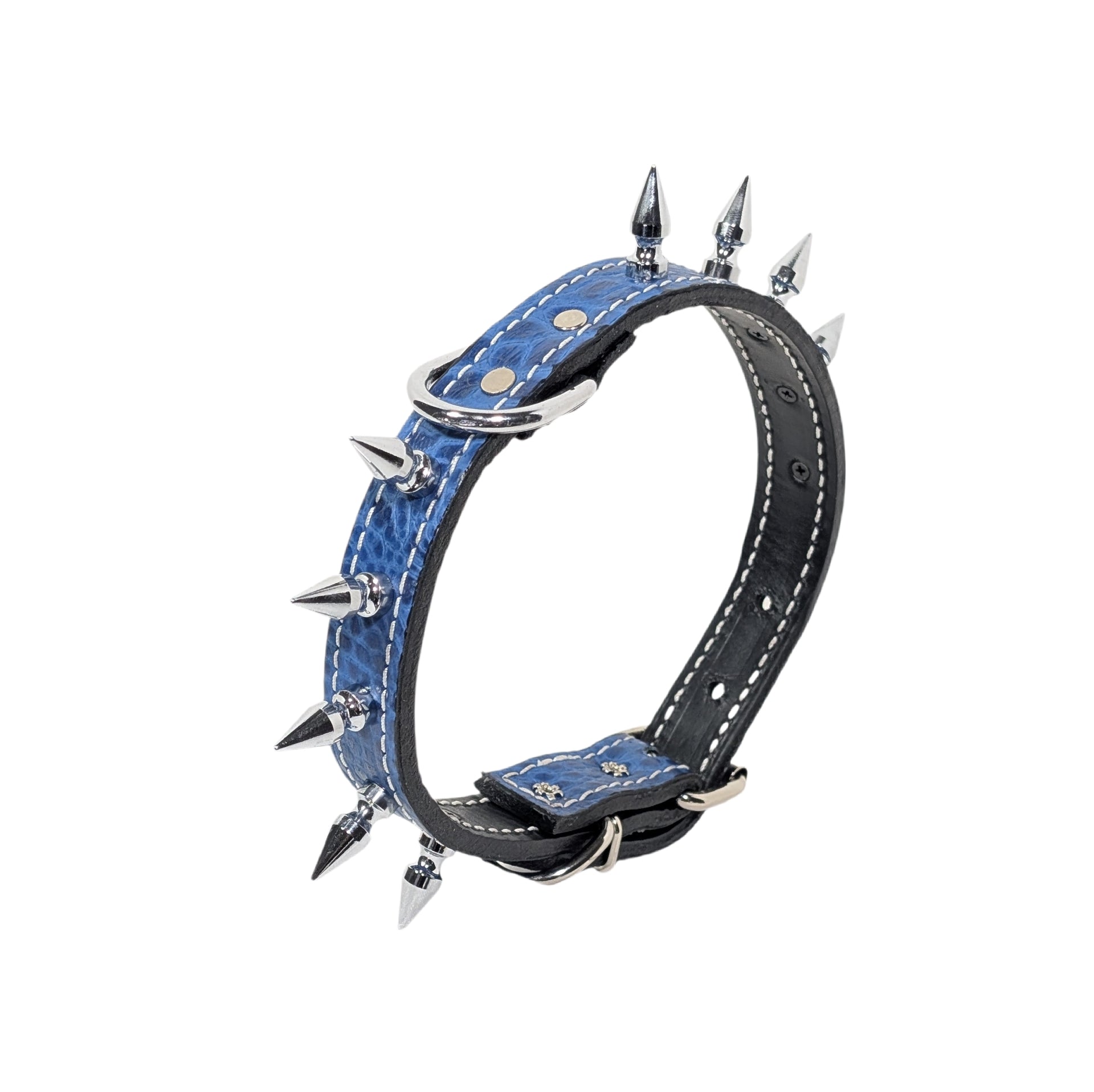 Dog collar with spikes on a white background