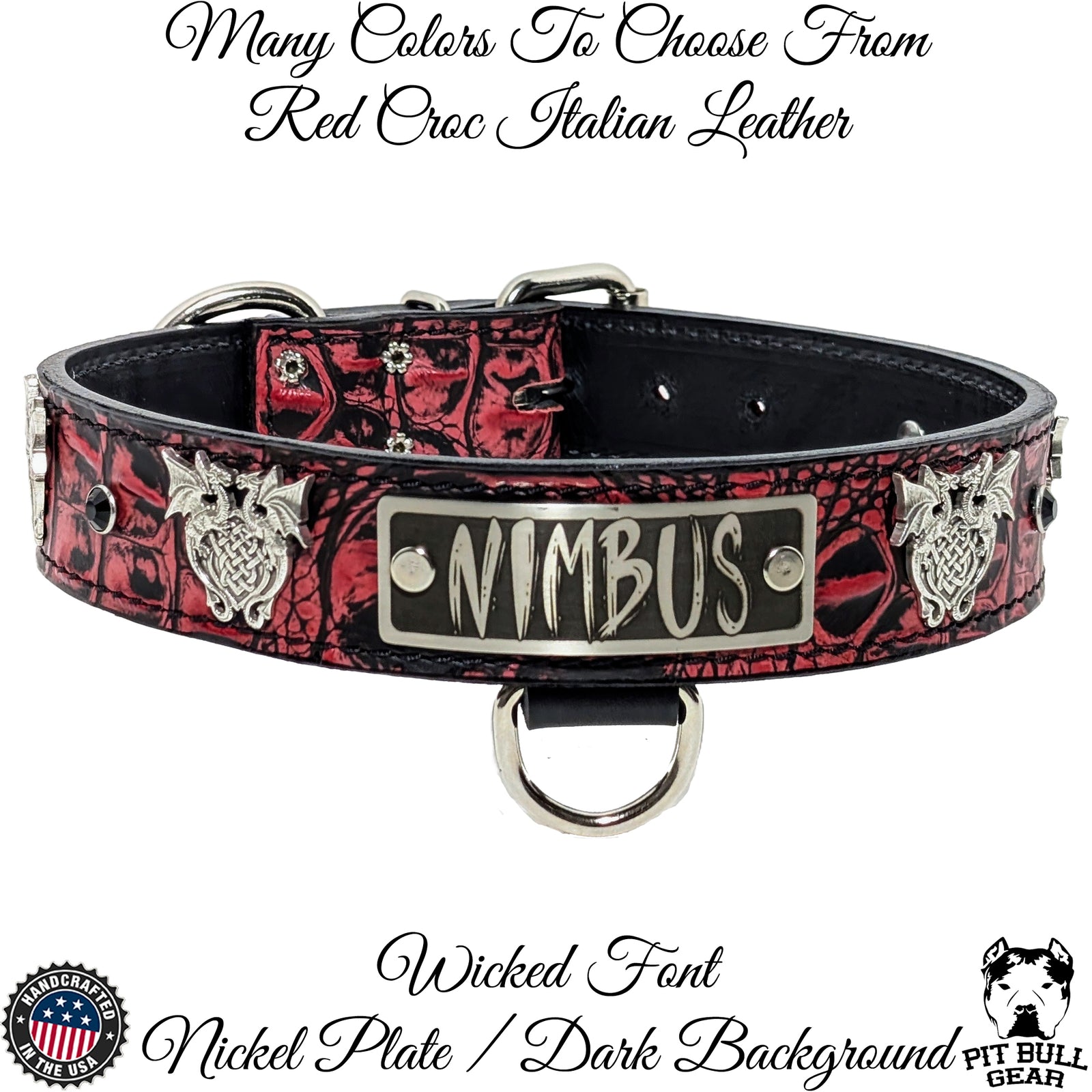 V30 - 1.5" Wide Name Plate Dragons & Gems Leather Dog Collar