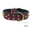 W36 - 2" Spiked Leather Dog Collar