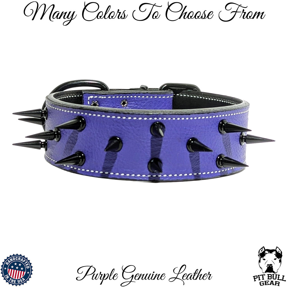 Spiked Leather Dog Collar, Protection Dog Collar, Custom 2 Wide - W18 -  Pit Bull Gear