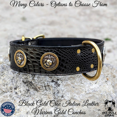 Concho dog collar hot sale