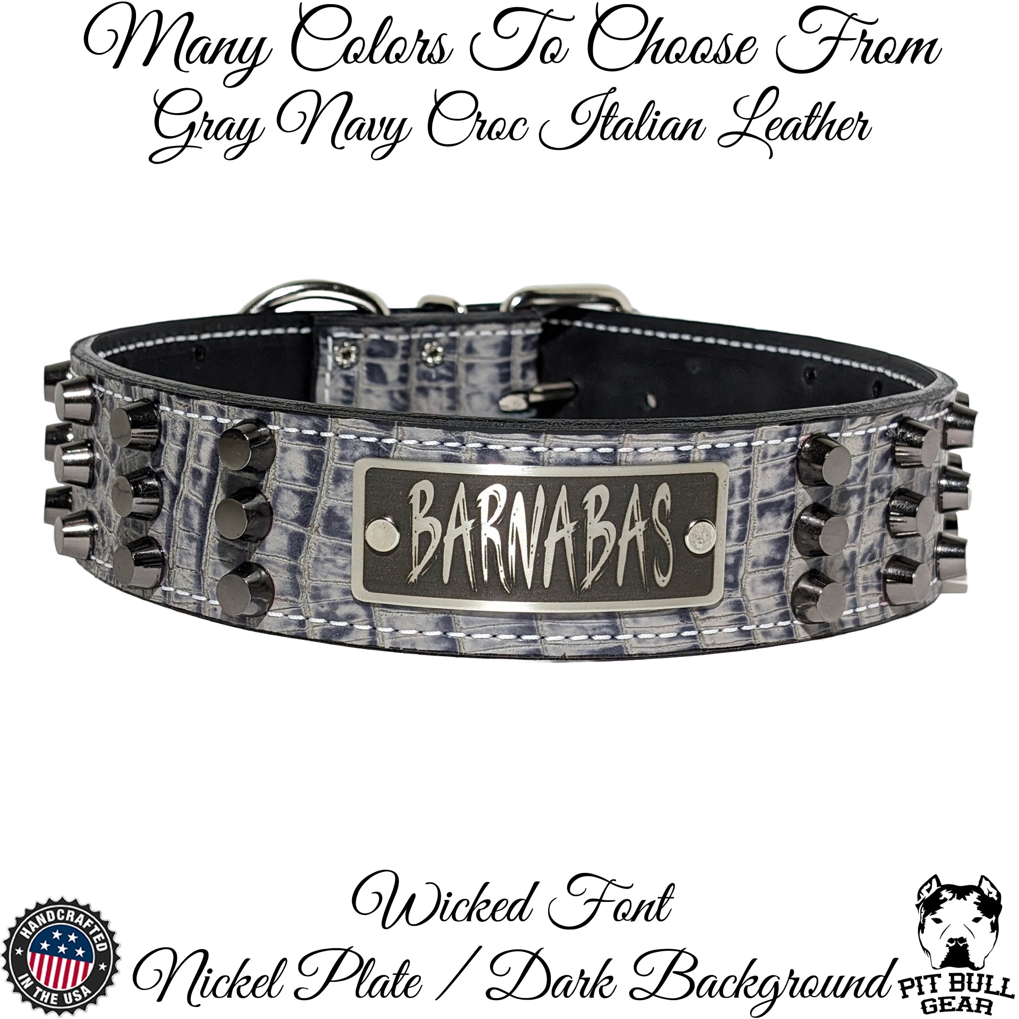 W48 - Coleira de cachorro de couro cravejada com placa de nome personalizada de 2 pol.