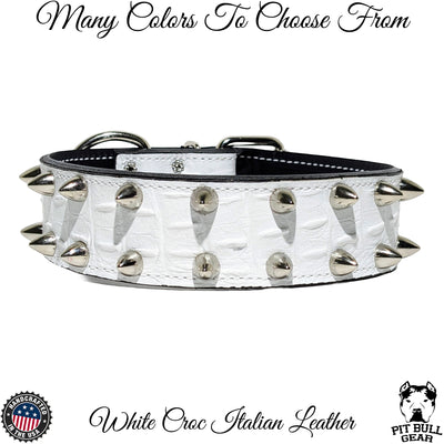 bullet dog collar