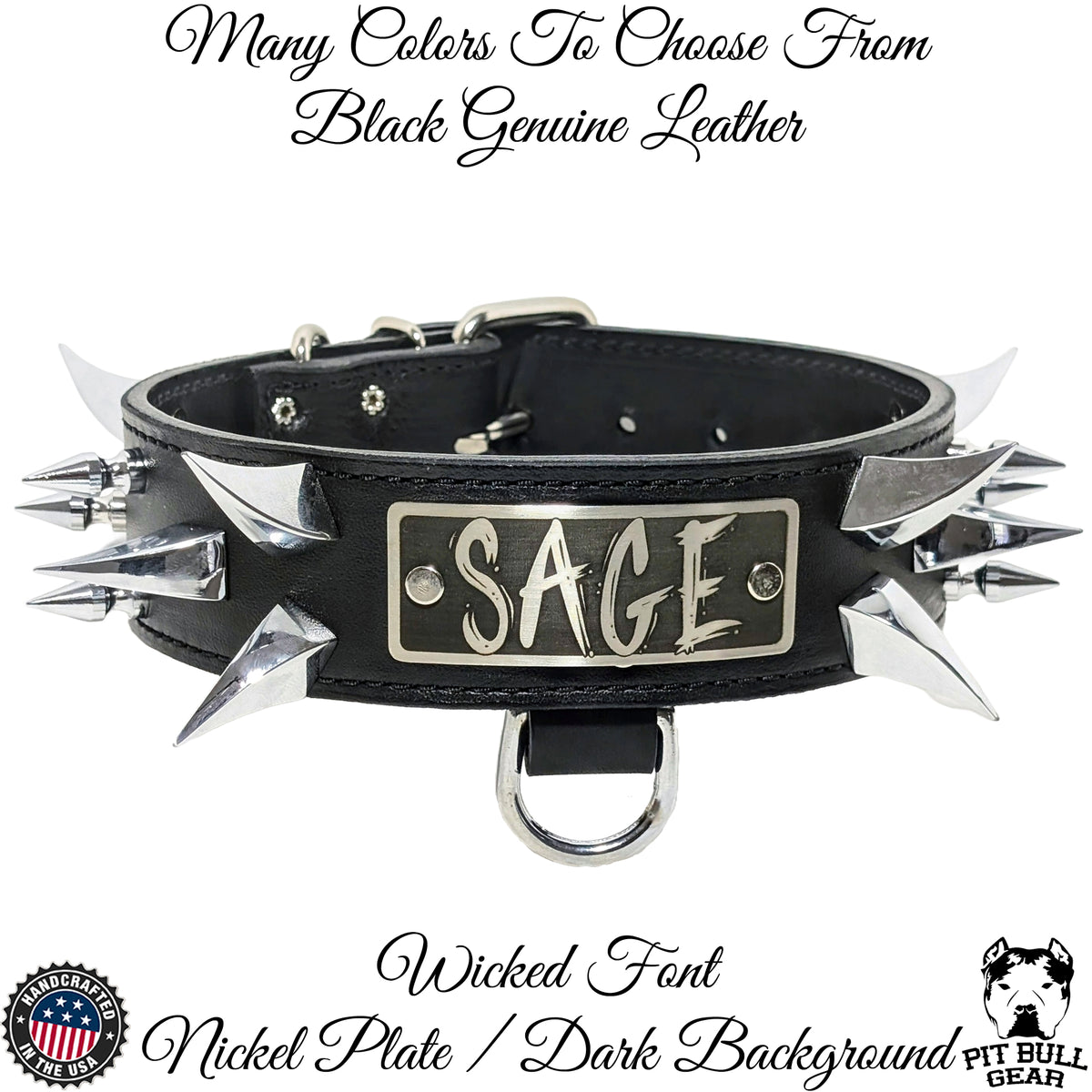 WN14 - Coleira de cachorro de couro pontiagudo com placa de nome de 2"
