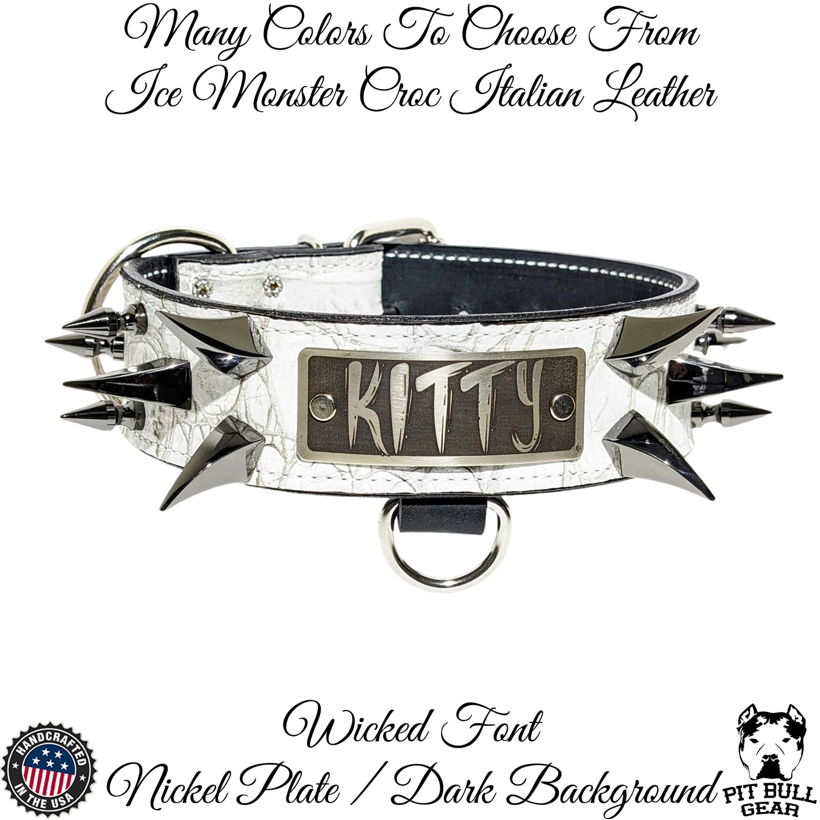 WN14 - Coleira de cachorro de couro pontiagudo com placa de nome de 2"