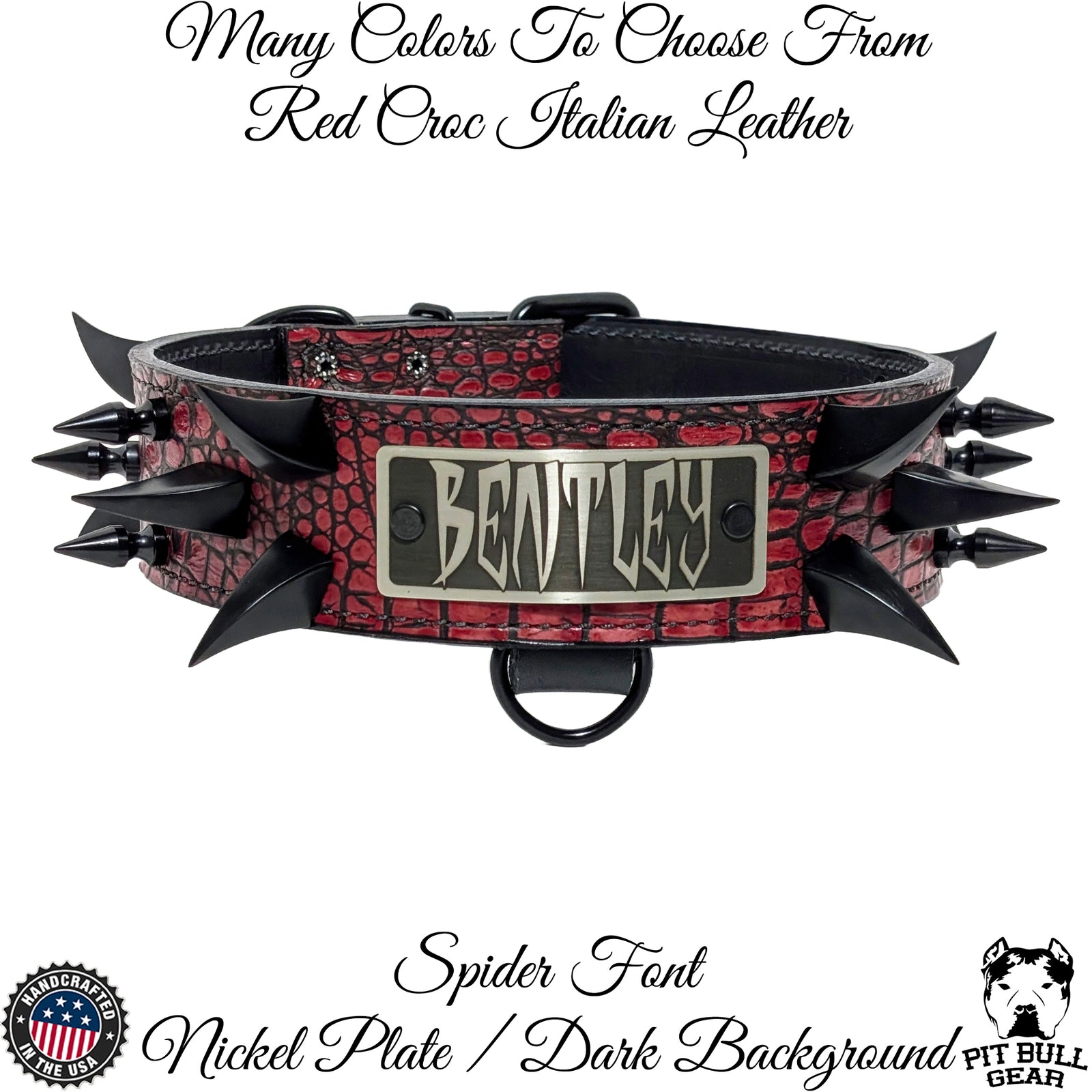 WN14 - Coleira de cachorro de couro pontiagudo com placa de nome de 2"