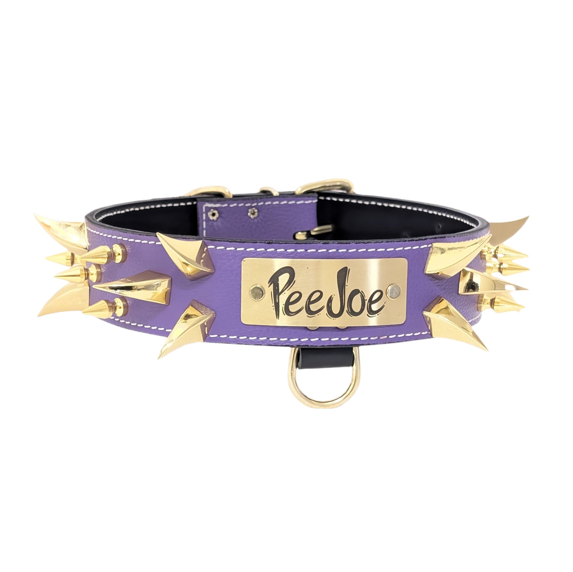 WN14 - 2" Wide Personalized Leather Dog Collar with Spikes