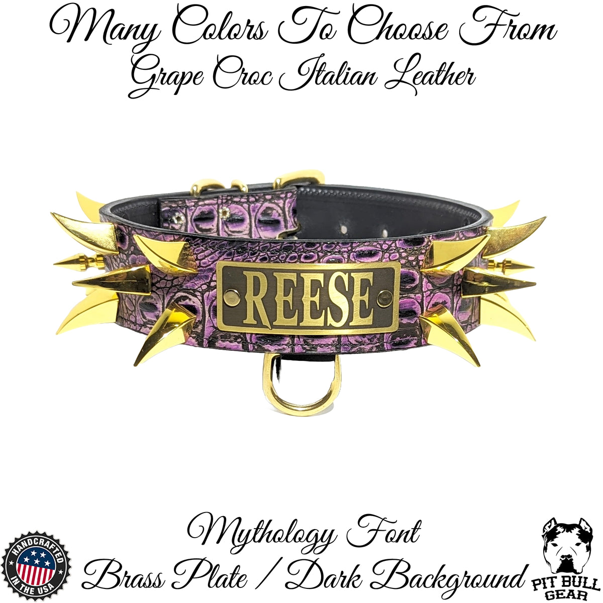 WN2 - 2" Wide Spiked Leather Dog Collar with Name Plate