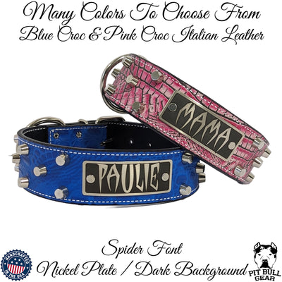 Leather Dog Collar Personalized Name Plate Studded 2" Wide - WN4