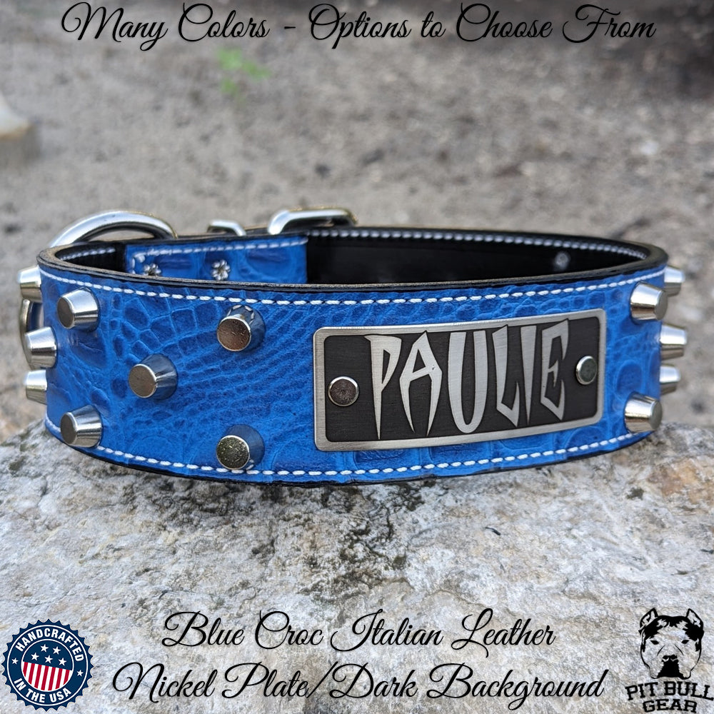WN4 - 2" Wide Personalized Leather Dog Collar with Bucket Studs