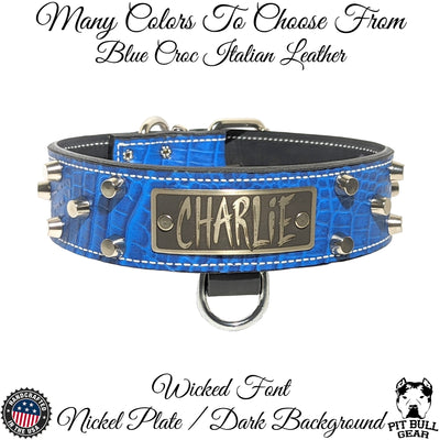 Leather Dog Collar Personalized Name Plate Studded 2" Wide - WN4