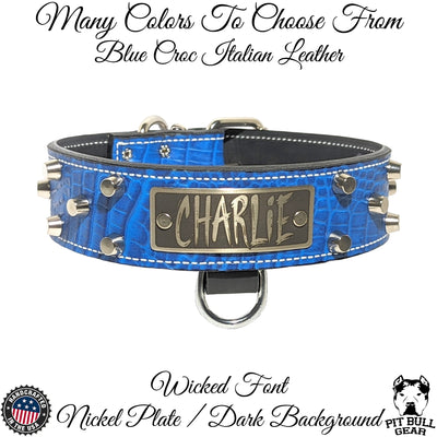WN4 - 2" Wide Leather Dog Collar with Bucket Studs and Name Plate