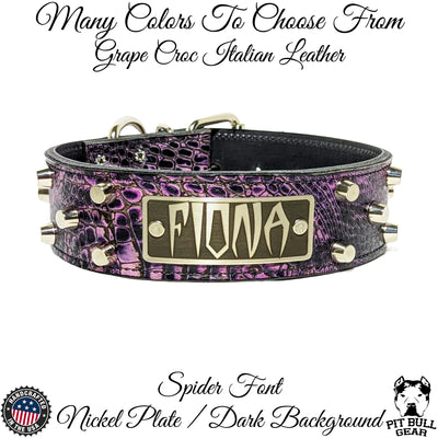 Leather Dog Collar Personalized Name Plate Studded 2" Wide - WN4