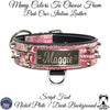 WN4 - 2" Wide Leather Dog Collar with Bucket Studs and Name Plate