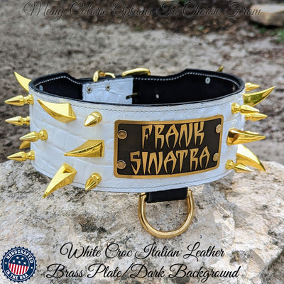 X14 - 3" Personalized Spiked Leather Collar