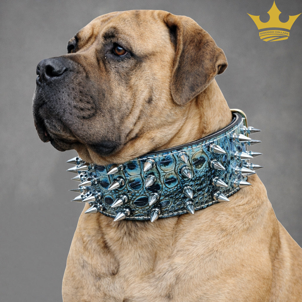X32 - 3" Wide Leather Dog Collar with Spikes