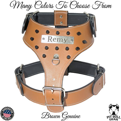 Leather Dog Harness Personalized Name Plate with Bucket Studs - NH11