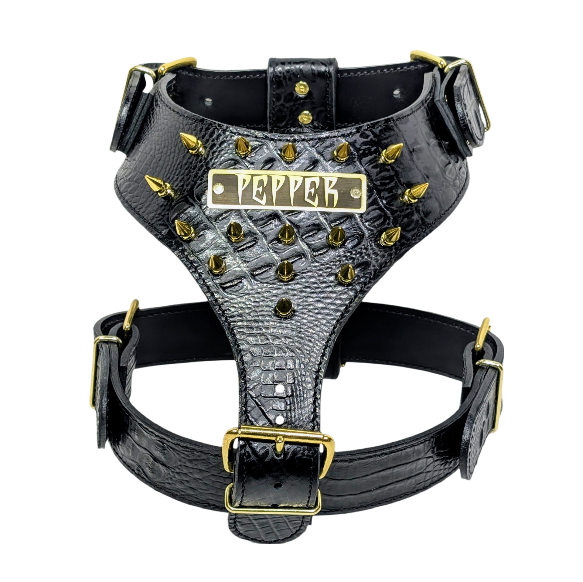 NH5 - Personalized Spiked Leather Dog Harness