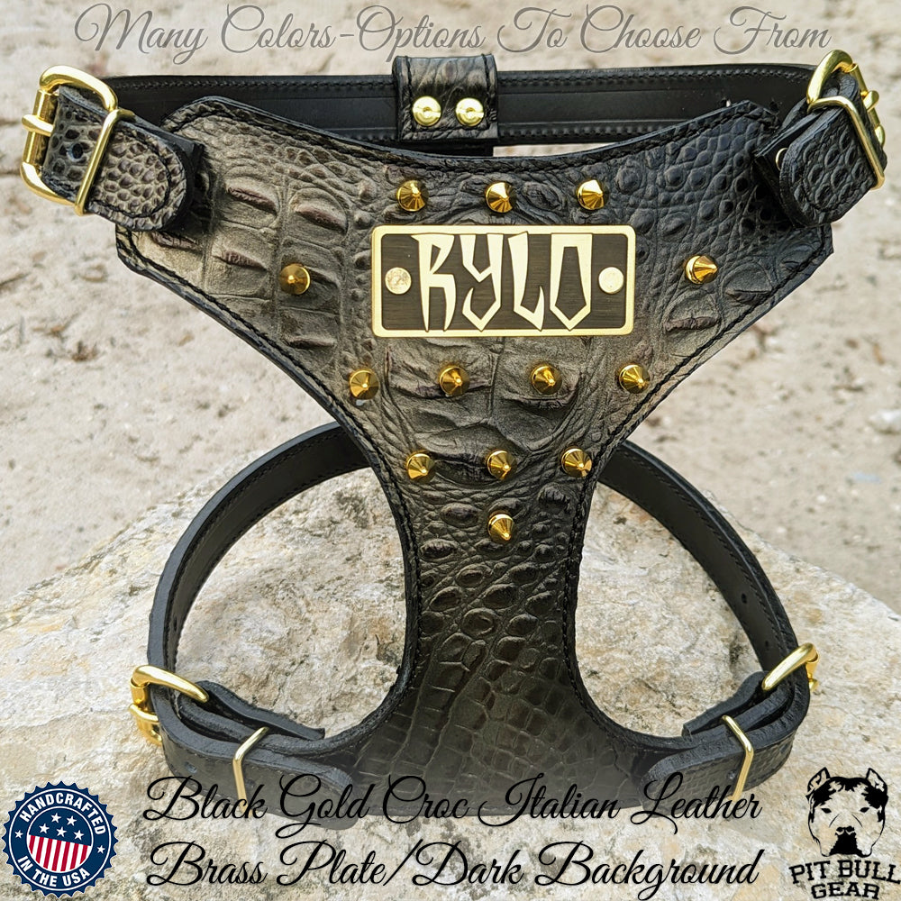 FBH3 - French Bulldog Personalized Leather Harness with Spikes
