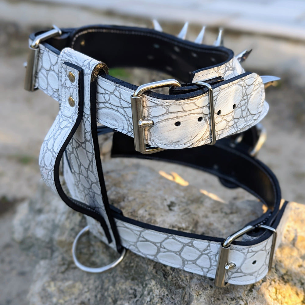 NH7 - Leather Dog Harness with Name & Claw Spikes
