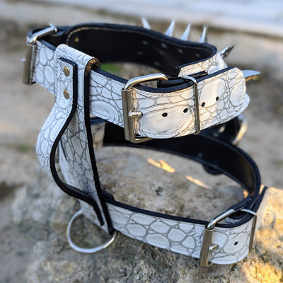 NH7 - PERSONALIZED CLAW SPIKED HARNESS