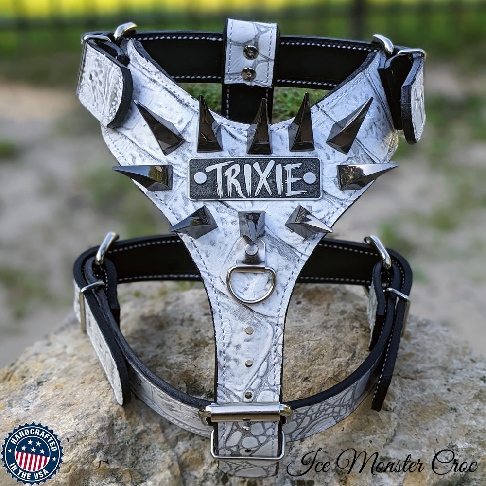 NH7 - Leather Dog Harness with Name & Claw Spikes