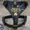 NH12 - Personalized Bully Leather Harness