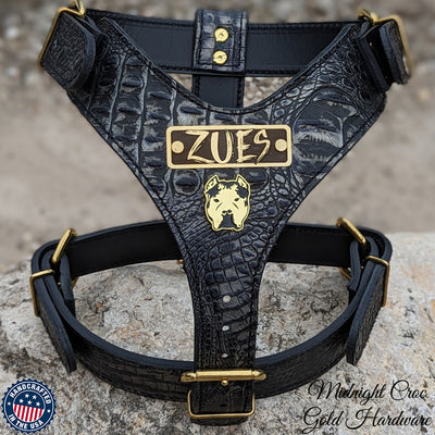 NH12 - Personalized Bully Leather Harness