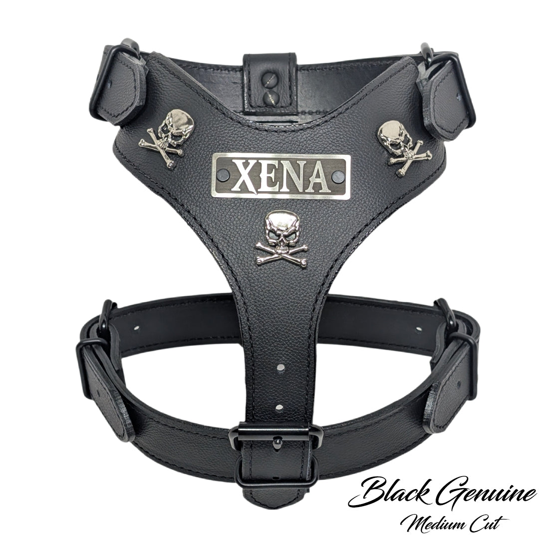Black leather harness with skull designs and 'XENA' branding on a white background