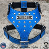 Personalized Studded Leather Dog Harness