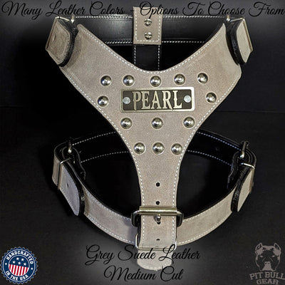 NH3 - Personalized Studded Leather Harness