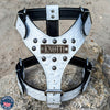 NH3 - Personalized Studded Leather Harness