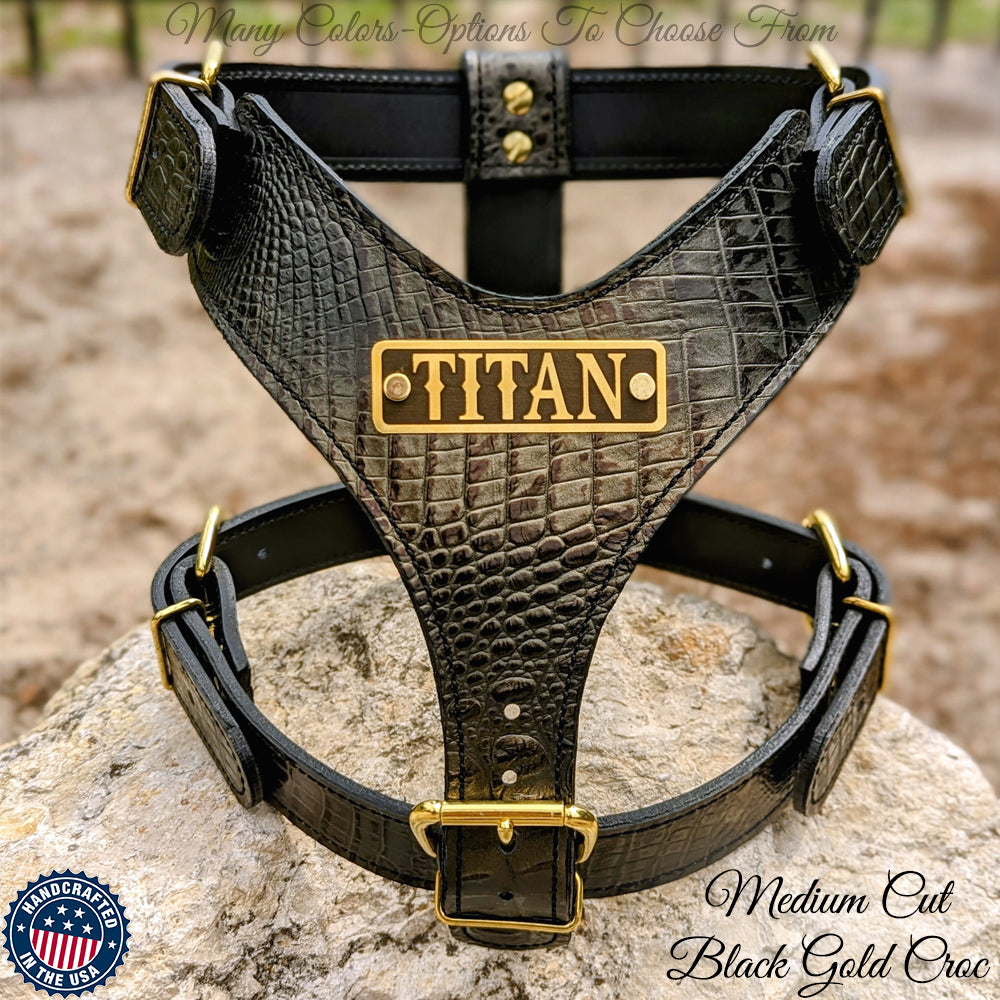 NH4 - Arnês de couro para cães com placa de identificação