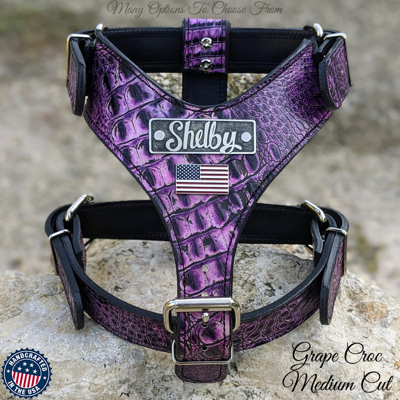 Leather Dog Harness Personalized Name Plate Heavy Duty USA NH76 Pit Bull Gear