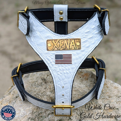 Leather Dog Harness Personalized Name Plate Heavy Duty USA - NH76
