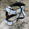 Leather Dog Harness Personalized Name Plate Heavy Duty USA - NH76