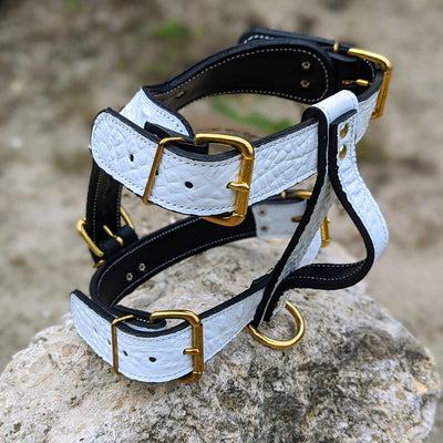 Leather Dog Harness Personalized Name Plate Heavy Duty USA - NH76