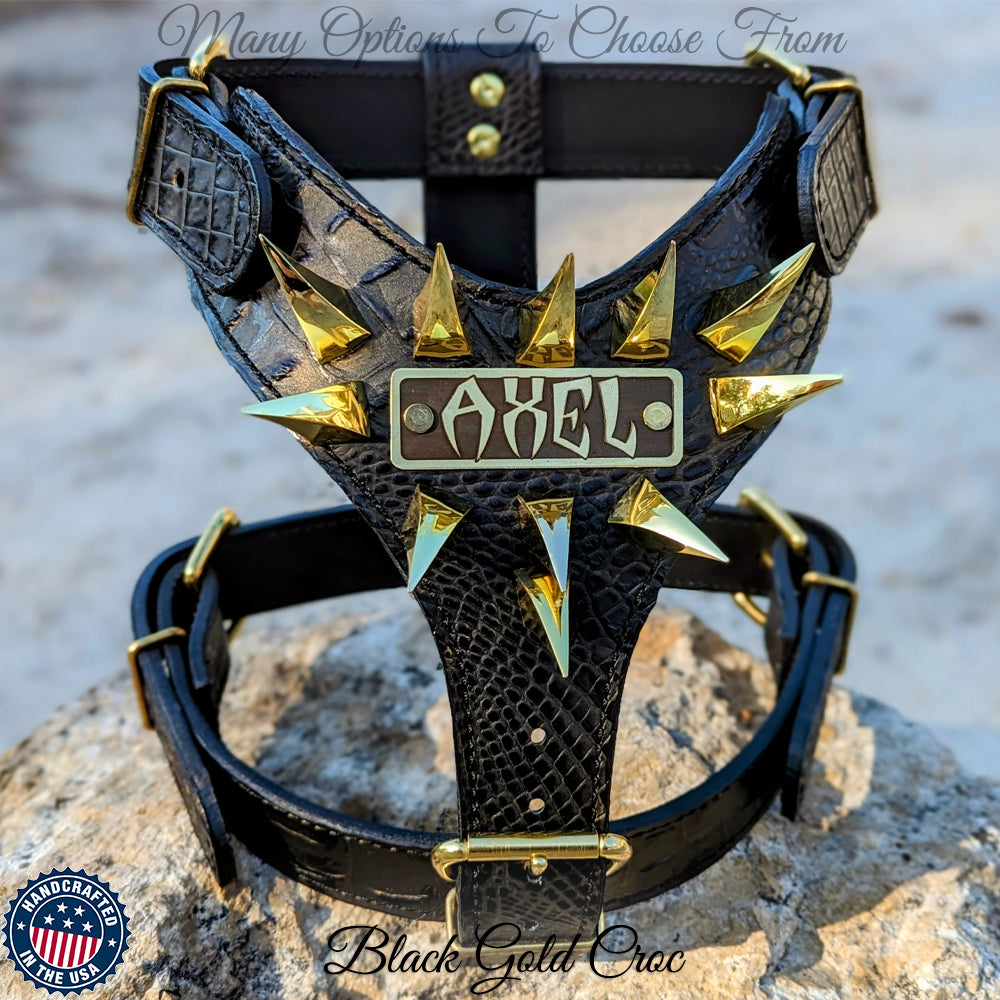 NH7 - Leather Dog Harness with Name & Claw Spikes
