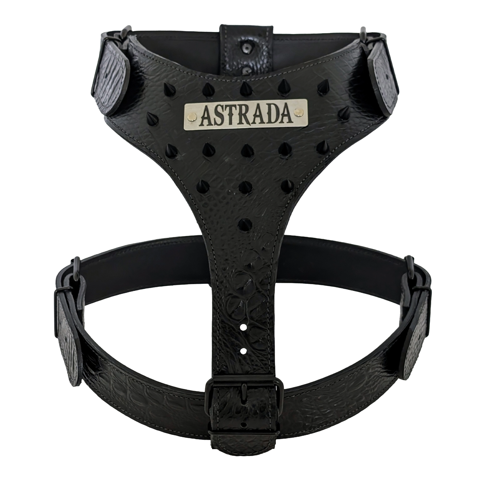 NH8 - Arnês de couro pontiagudo com placa de identificação