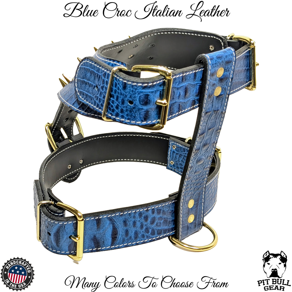 NH8 - Arnês de couro pontiagudo com placa de identificação