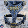 NH8 - Name Plate Cone Spiked Leather Harness