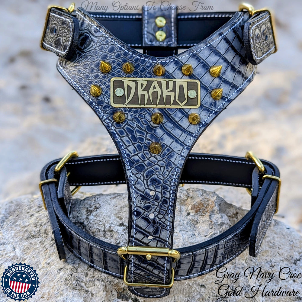 NH8 - Personalized Leather Dog Harness with Cone Spikes