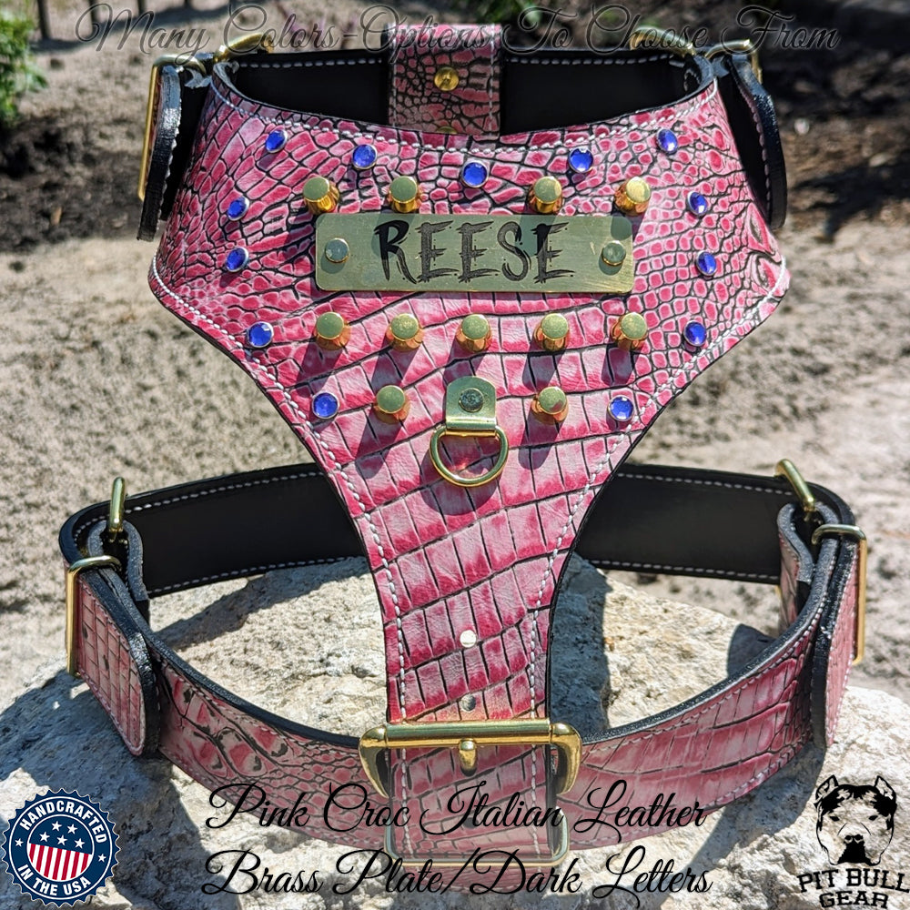 NH9 - Personalized Leather Dog Harness w/Gems & Bucket Studs