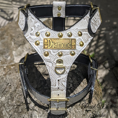 NH3 - Personalized Studded Leather Harness