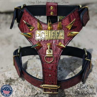 NH7 - PERSONALIZED CLAW SPIKED HARNESS